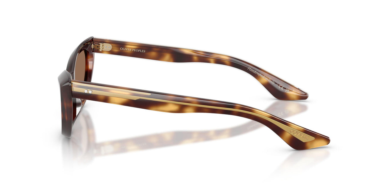 100773 - Tortoise - Brown