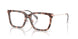 4017 - Tortoise