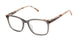 Buffalo by David Bitton BW042 Eyeglasses