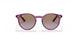 706468 - Violet - Violet Gradient Brown