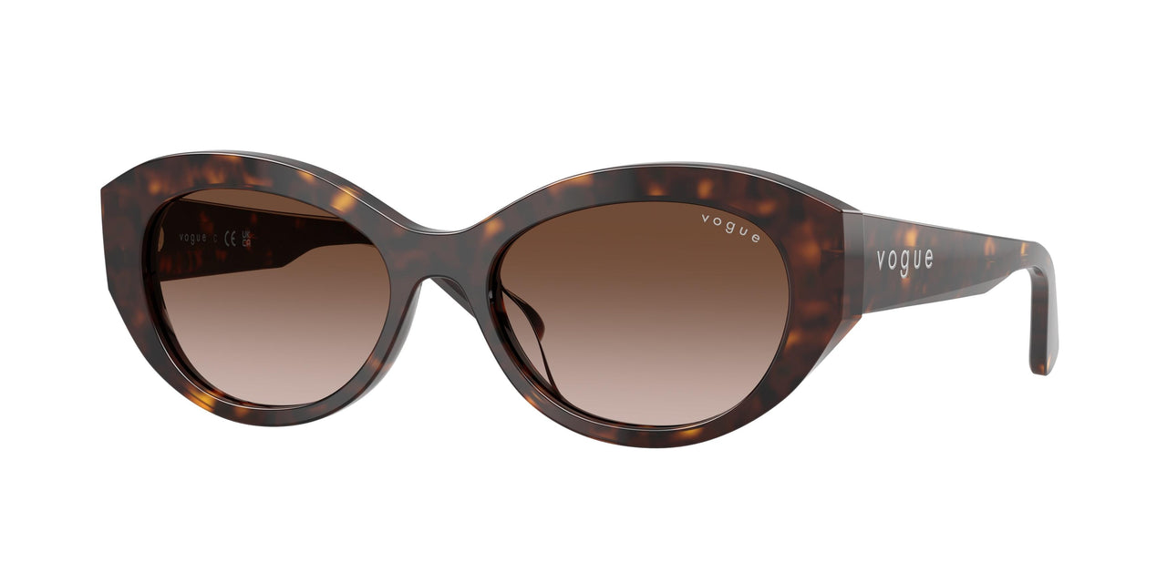 W65613 - Brown - Gradient Brown