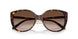 W65613 - Brown - Gradient Brown