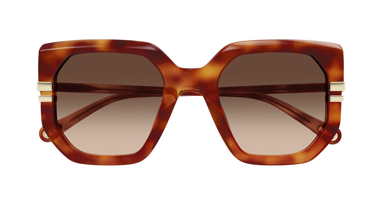 007 - Havana - Brown
