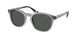 Polo 4206 Sunglasses