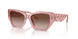 202113 - Pink - Brown Gradient