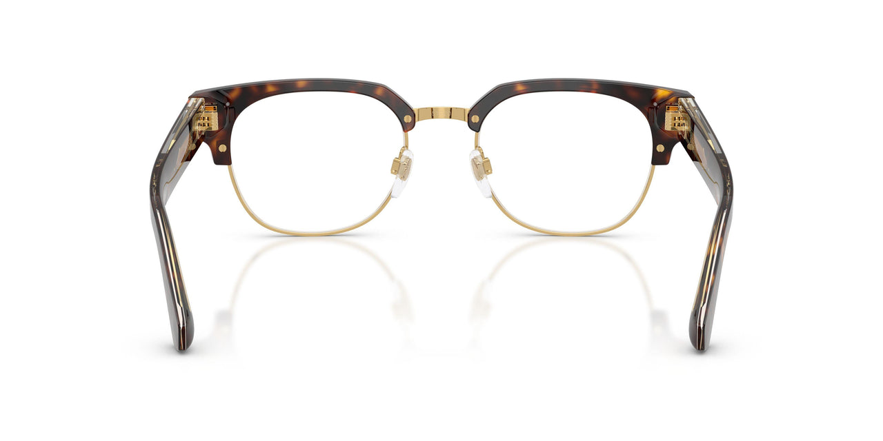 3002 - Brown