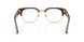 3002 - Brown
