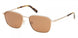 ABERCROMBIE & FITCH 00032 Sunglasses