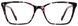5 - Berry / Ivy / Black