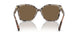 395173 - Dark Tortoise/cream Tortoise - Brown Solid