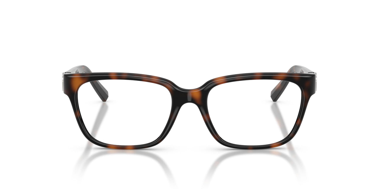 8015 - Tortoise