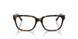 8015 - Tortoise