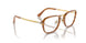 960 - Tortoise - Clear