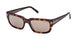 Tom Ford 1075 Sunglasses