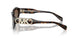328873 - Tortoise - Brown Solid