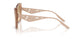 343213 - Brown - Clear Gradient Light Brown
