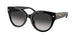 Coach Cr612 8393U Sunglasses