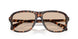 304893 - Tortoise - Gradient Brown