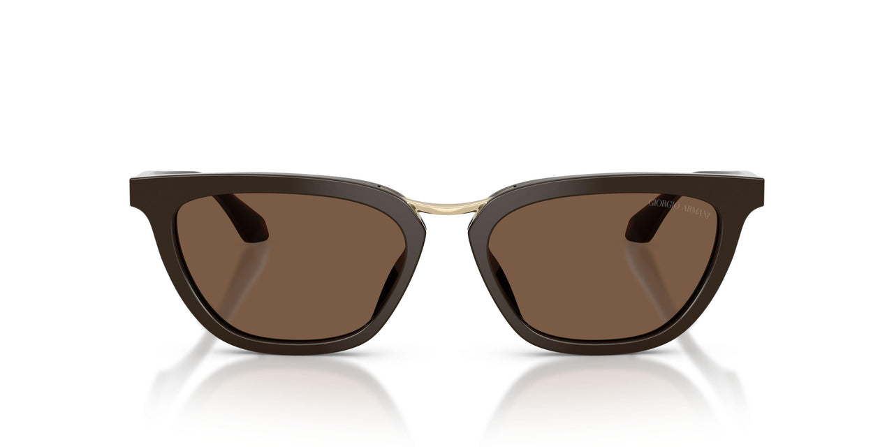 639873 - Brown - Brown