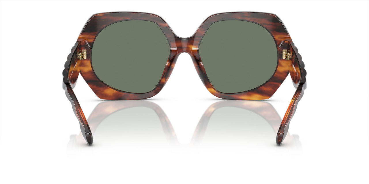 19553H - Brown - Dark Green