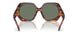 19553H - Brown - Dark Green