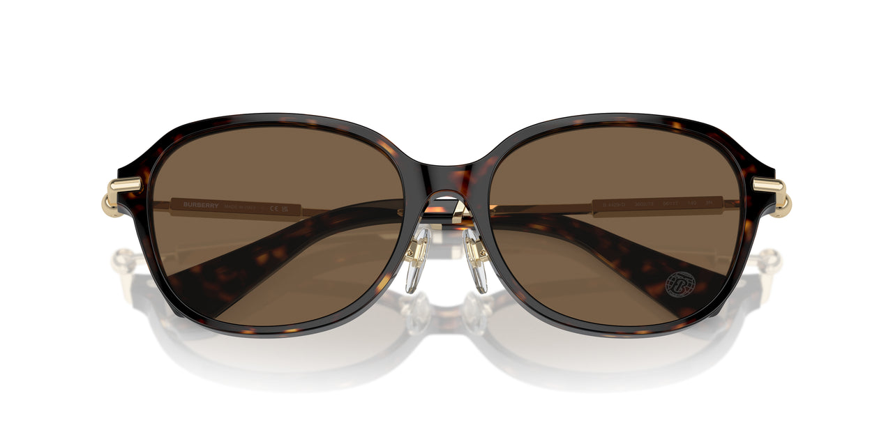 300273 - Brown - Dark Brown