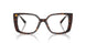 5002 - Tortoise