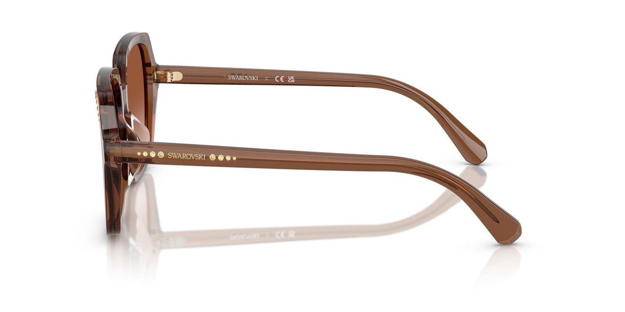 106713 - Brown - Gradient Brown
