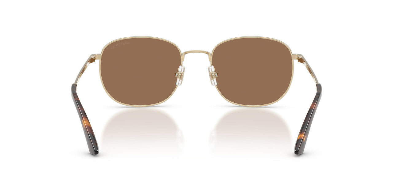 300673 - Gold - Dark Brown