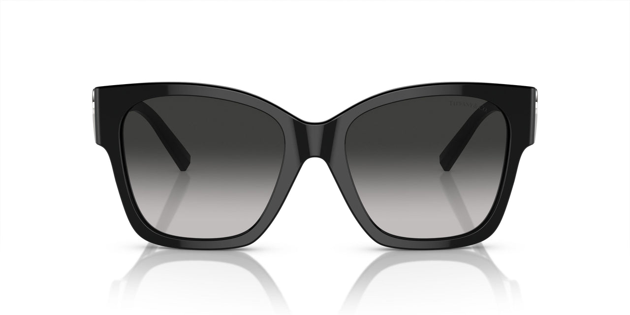 80013C - Black - Grey Gradient