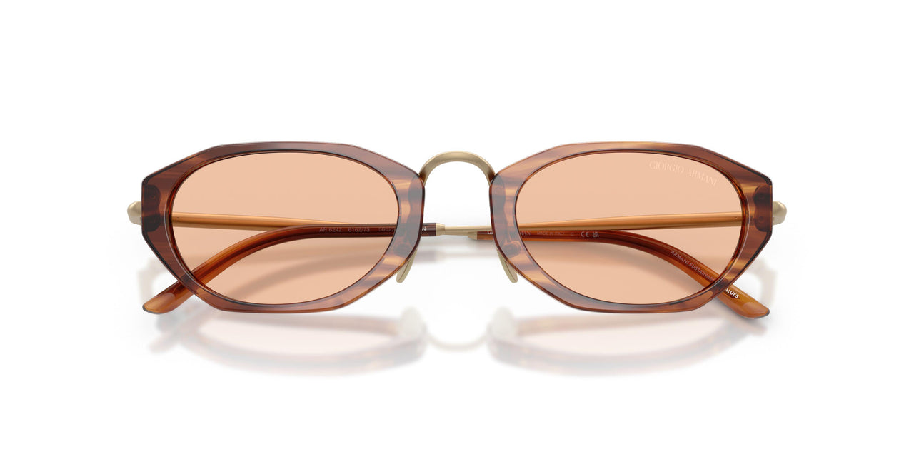616273 - Tortoise - Light Brown