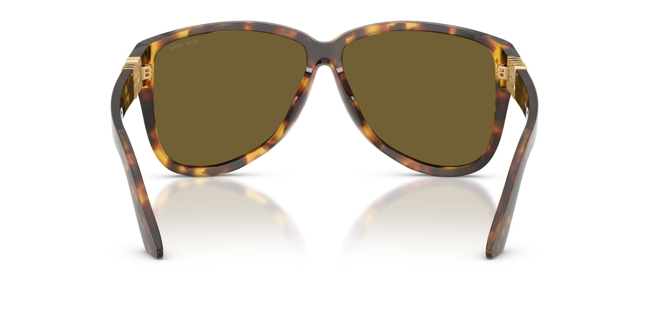 14L09Z - Tortoise - Dark Brown