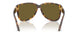14L09Z - Tortoise - Dark Brown