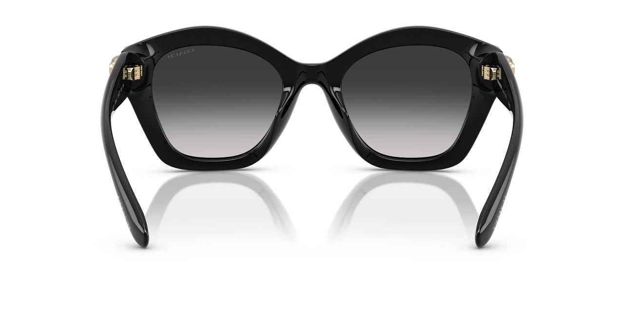 50023C - Black - Grey Gradient
