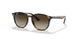152/13 - Havana - Brown Gradient