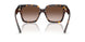 500213 - Tortoise - Gradient Brown