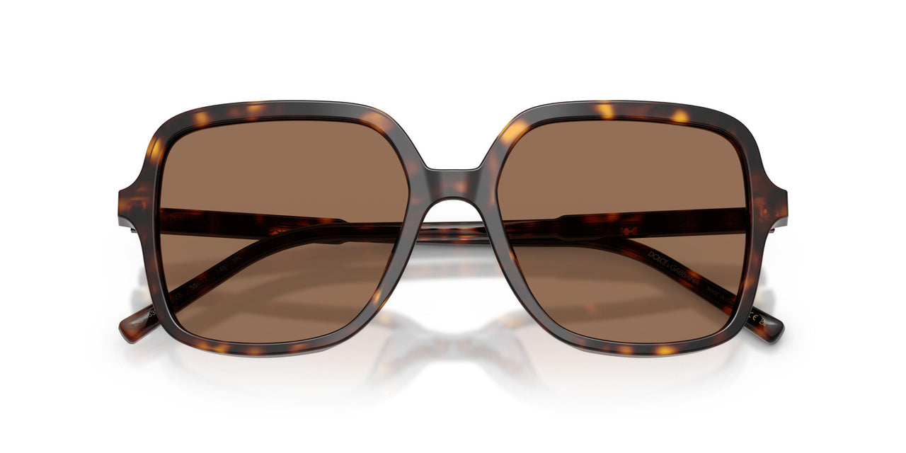 502/73 - Tortoise - Dark Brown