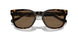 W65673 - Brown - Dark Brown