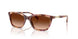619674 - Red - Gradient Brown