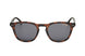 Carrera CARRERA2032T_S Sunglasses