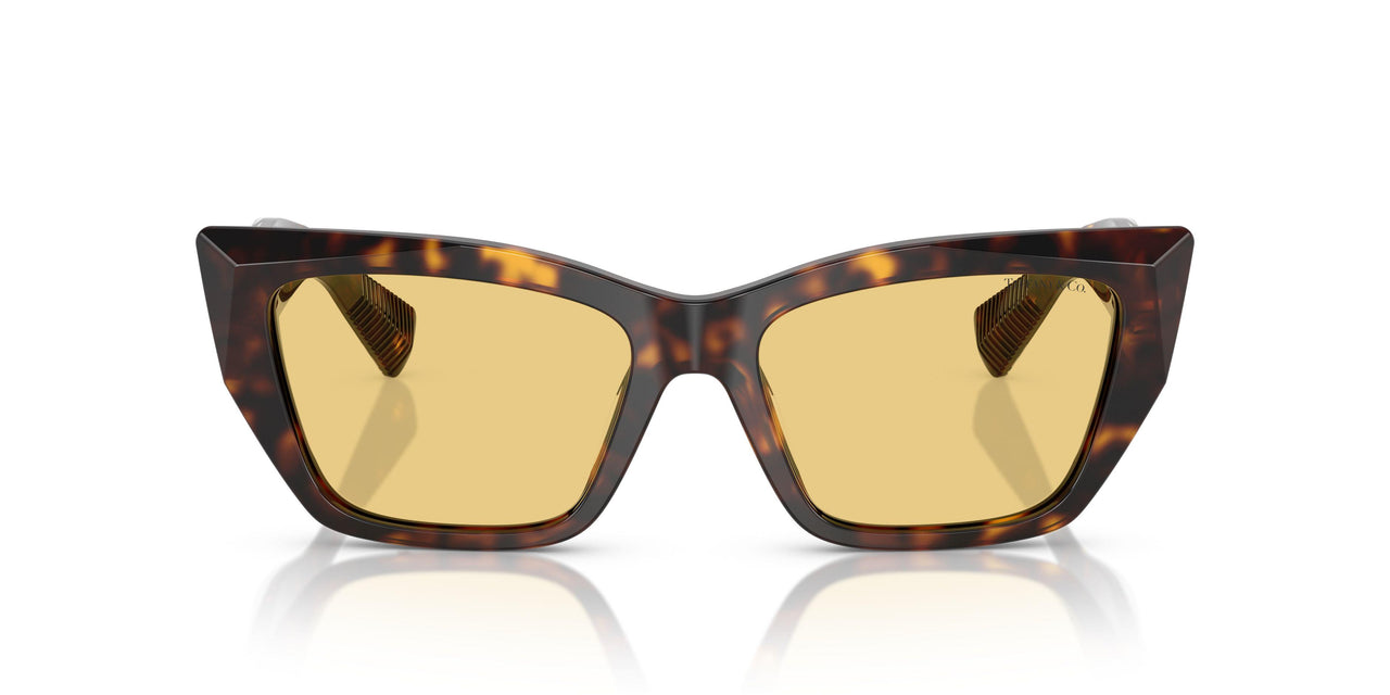8015/7 - Tortoise - Orange