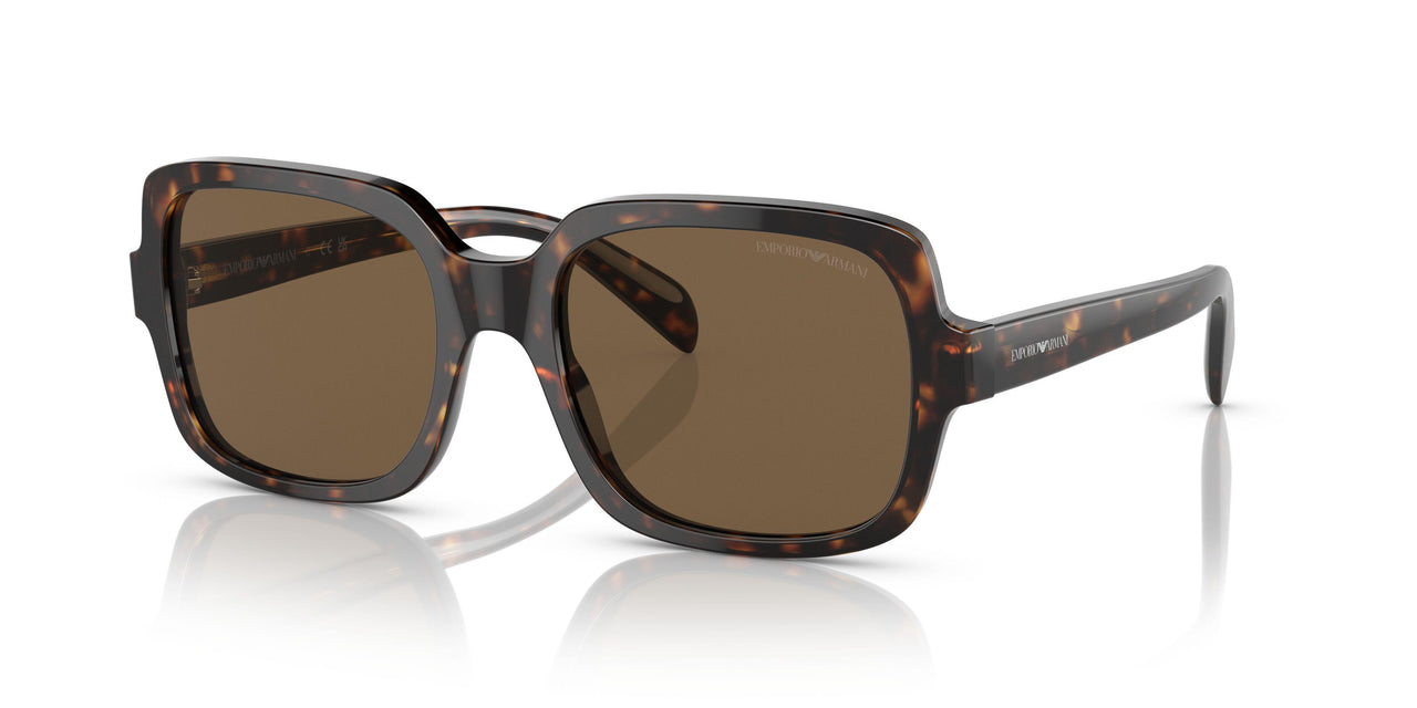 502673 - Havana - Dark Brown