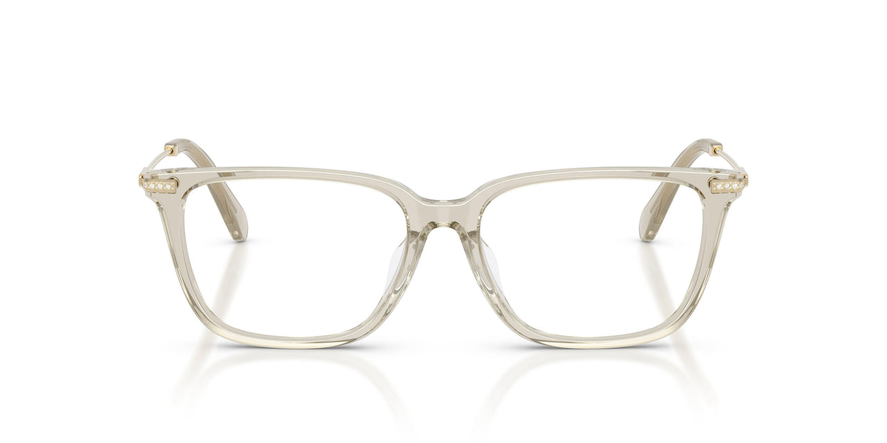 3003 - Brown
