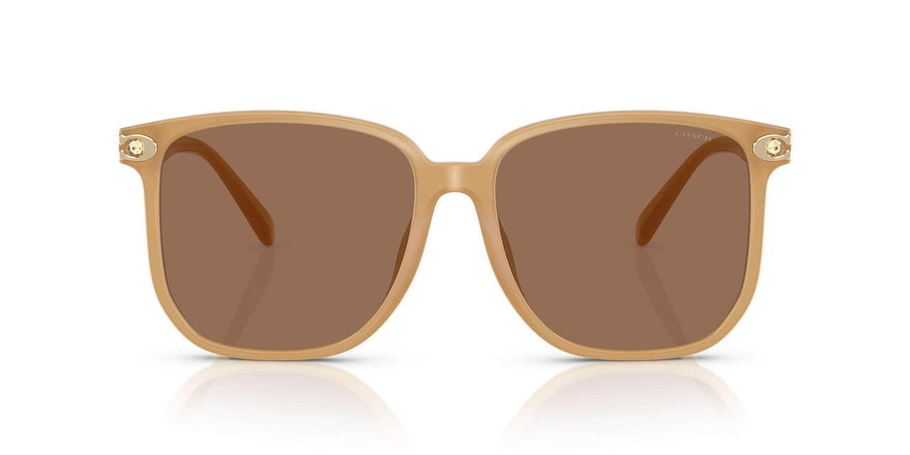 585473 - Brown - Brown Solid
