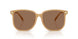 585473 - Brown - Brown Solid