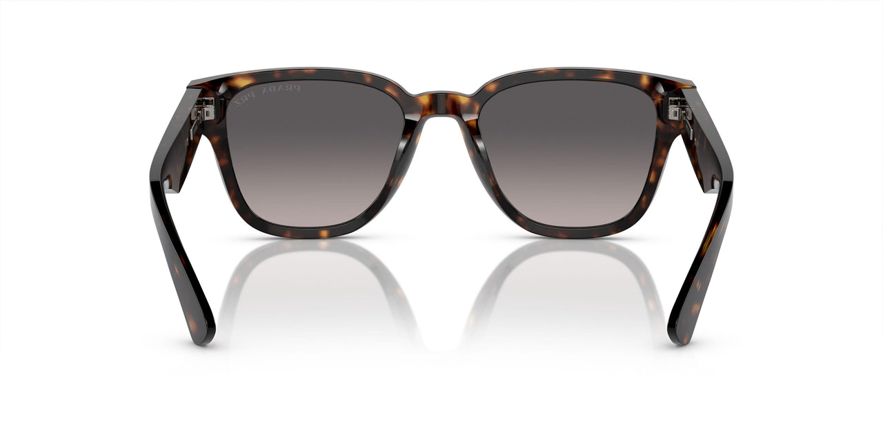 19J09G - Tortoise - Polarized Grey Gradient