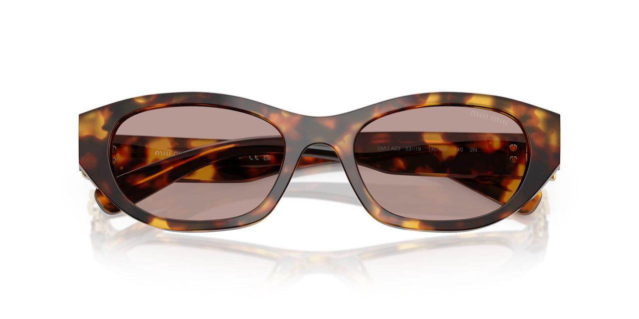 14L20I - Tortoise - Light Purple Brown
