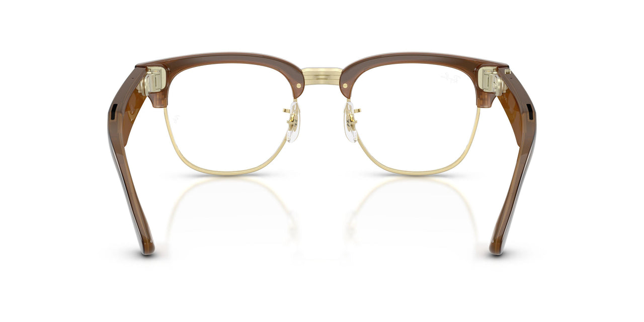 8525 - Tortoise