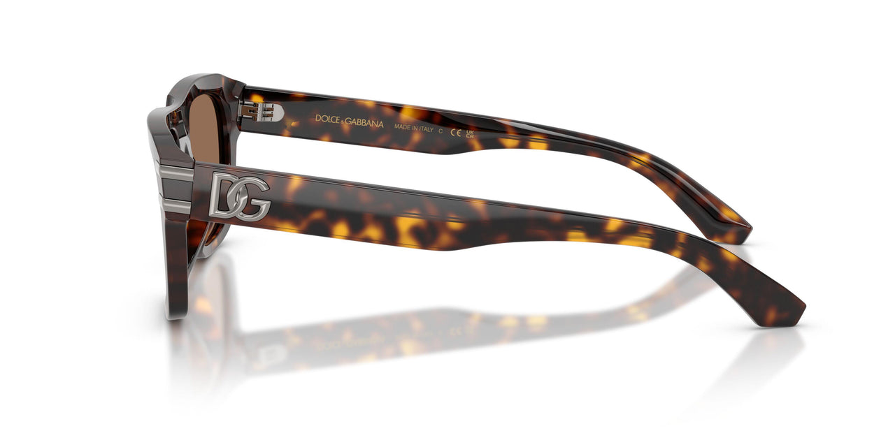502/73 - Tortoise - Dark Brown