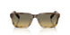 21P81B - Brown - Brown Gradient Grey